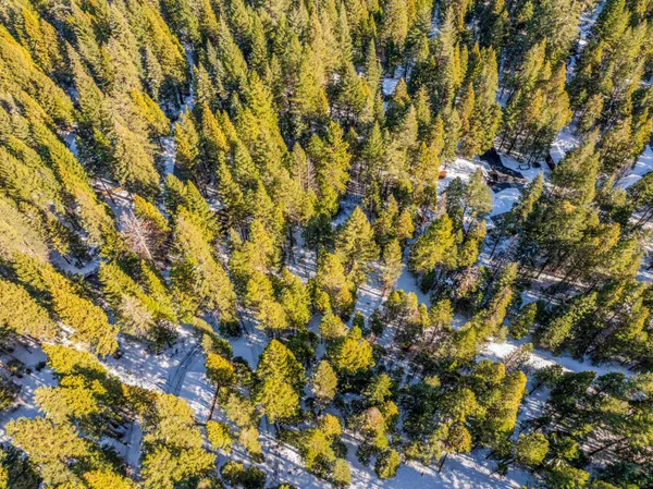 $25,000 | Ritts Mill Road, Shingletown, CA 96088