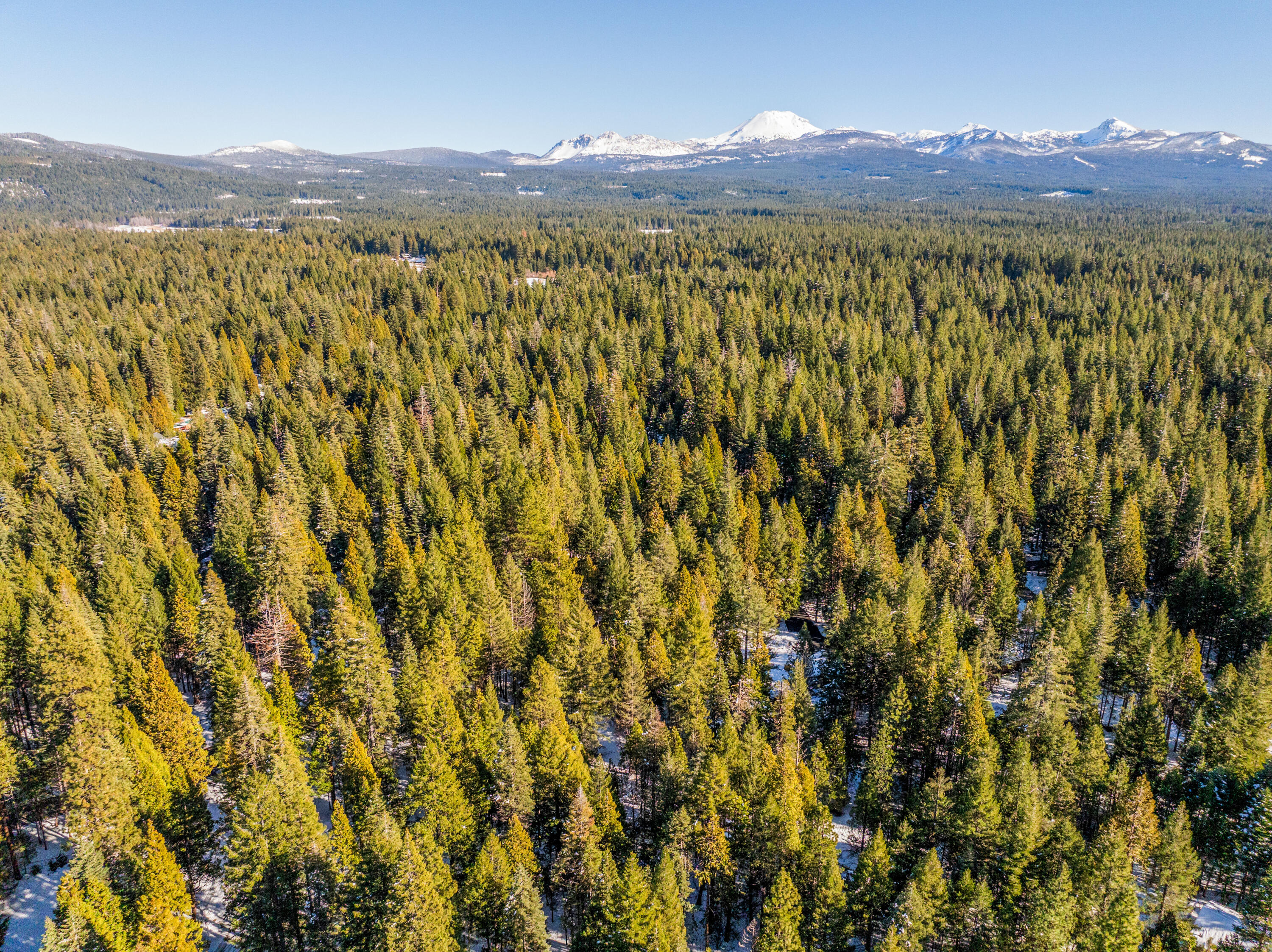 Ritts Mill Road Shingletown, CA 96088 - Photo 8 of 8 IMG-11