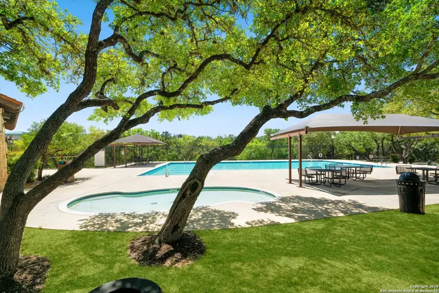 a view of a park with a tree