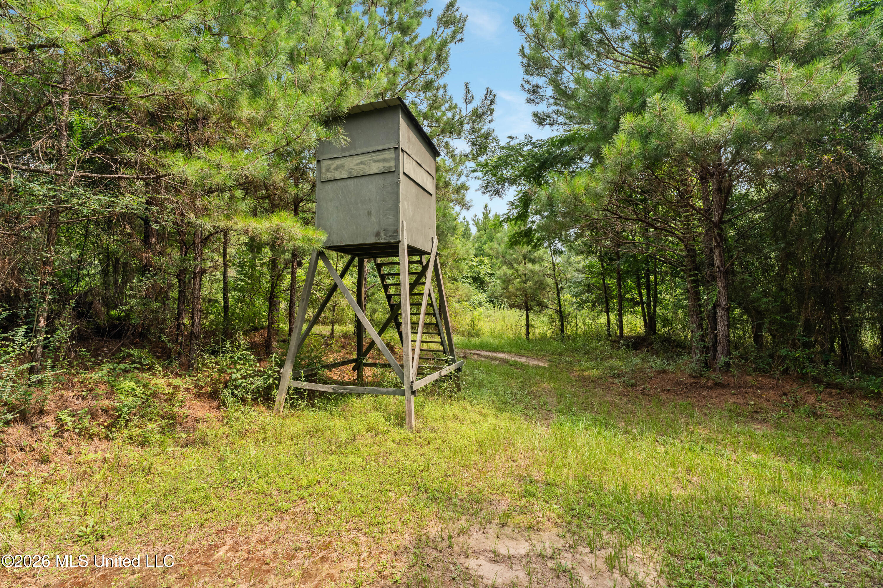 232 Knoxo Columbia Road Tylertown, MS 39667 - Photo 77 of 120 232_Knoxo_Columbia_Rd-77