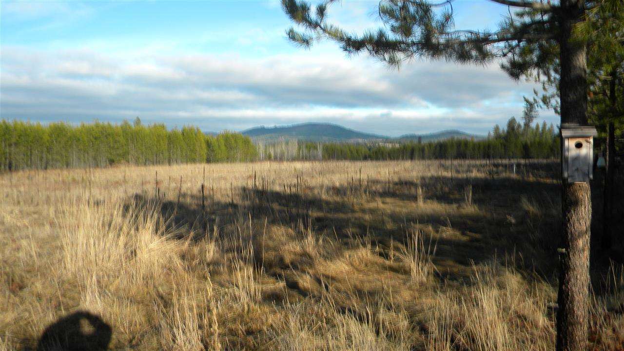 13427 East Bridges Road Elk, WA 99009 - Photo 18 of 20
