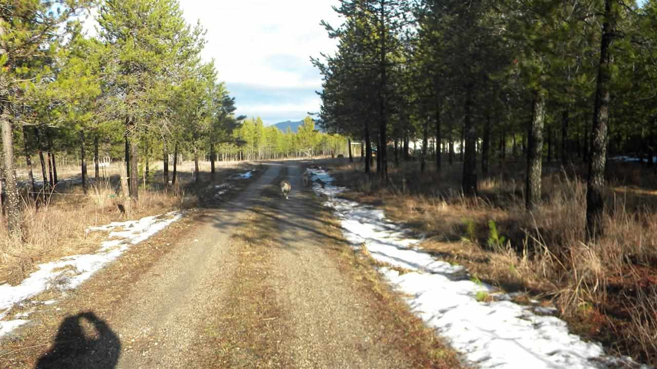 13427 East Bridges Road Elk, WA 99009 - Photo 5 of 20