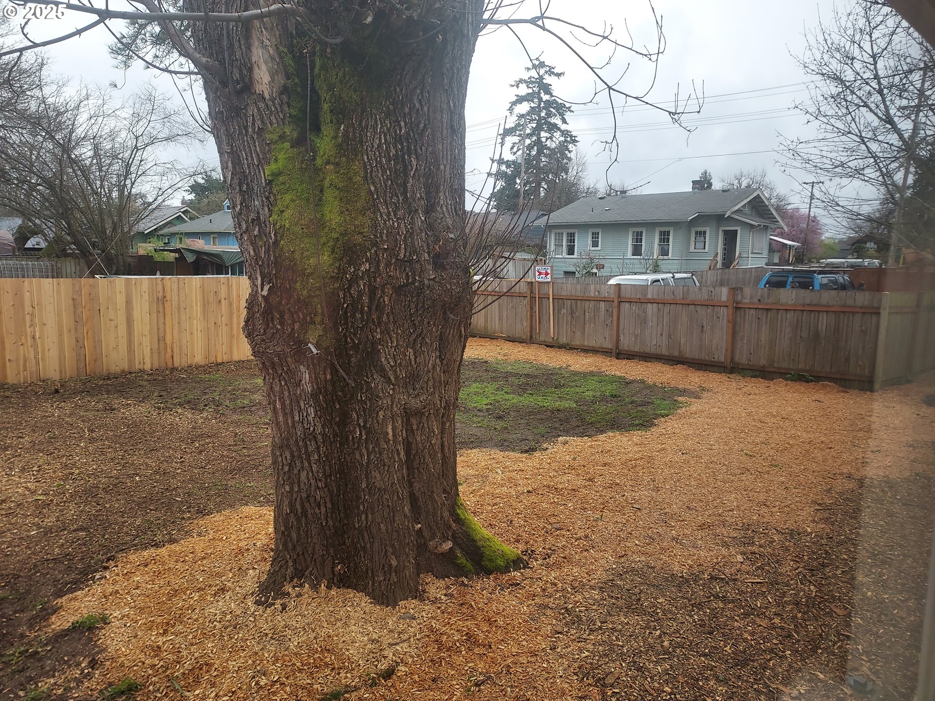 405 1/2 River Road Eugene, OR 97404 - Photo 18 of 18 a view of a yard with wooden fence