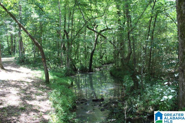 1640 Highway 77 Gadsden, AL 35907 - Photo 20 of 23