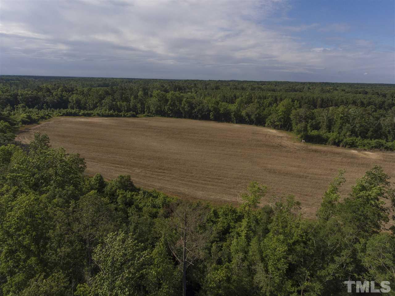 0 Josey Williams Road Erwin, NC 28339 - Photo 11 of 25