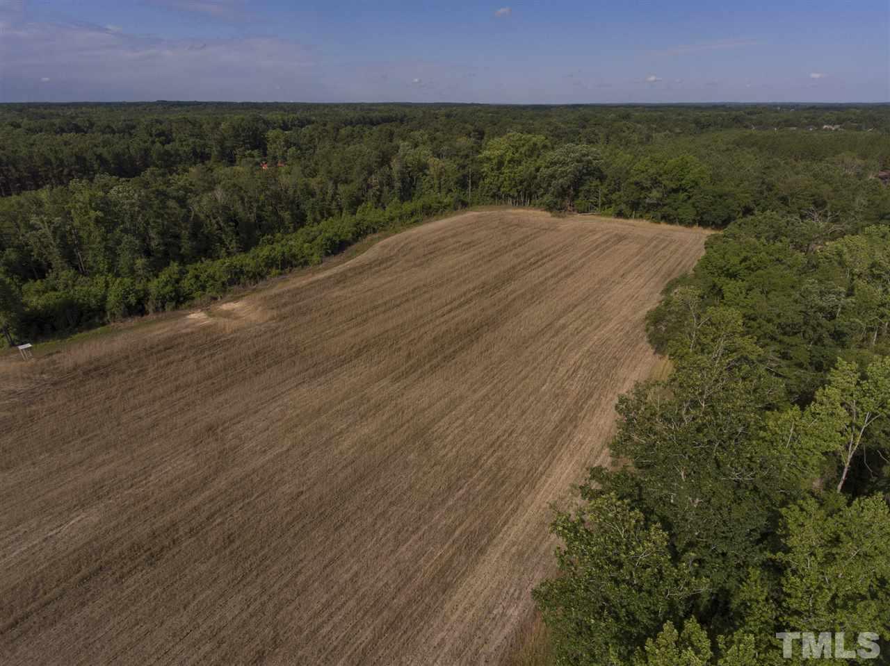 0 Josey Williams Road Erwin, NC 28339 - Photo 12 of 25