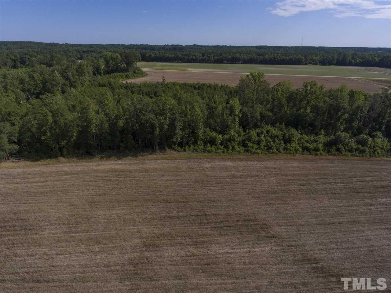 0 Josey Williams Road Erwin, NC 28339 - Photo 13 of 25