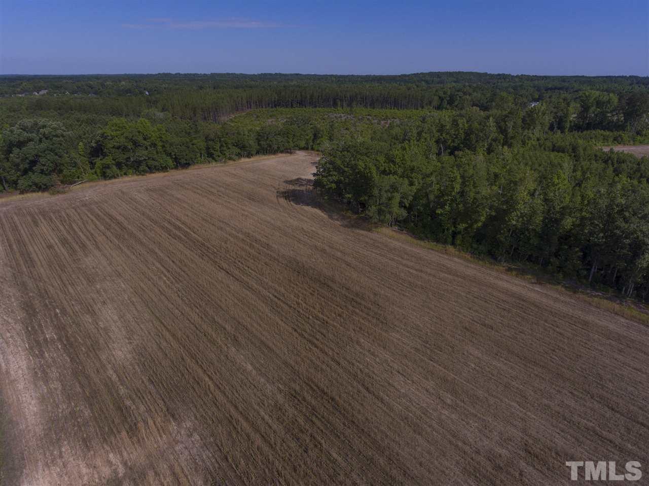 0 Josey Williams Road Erwin, NC 28339 - Photo 14 of 25