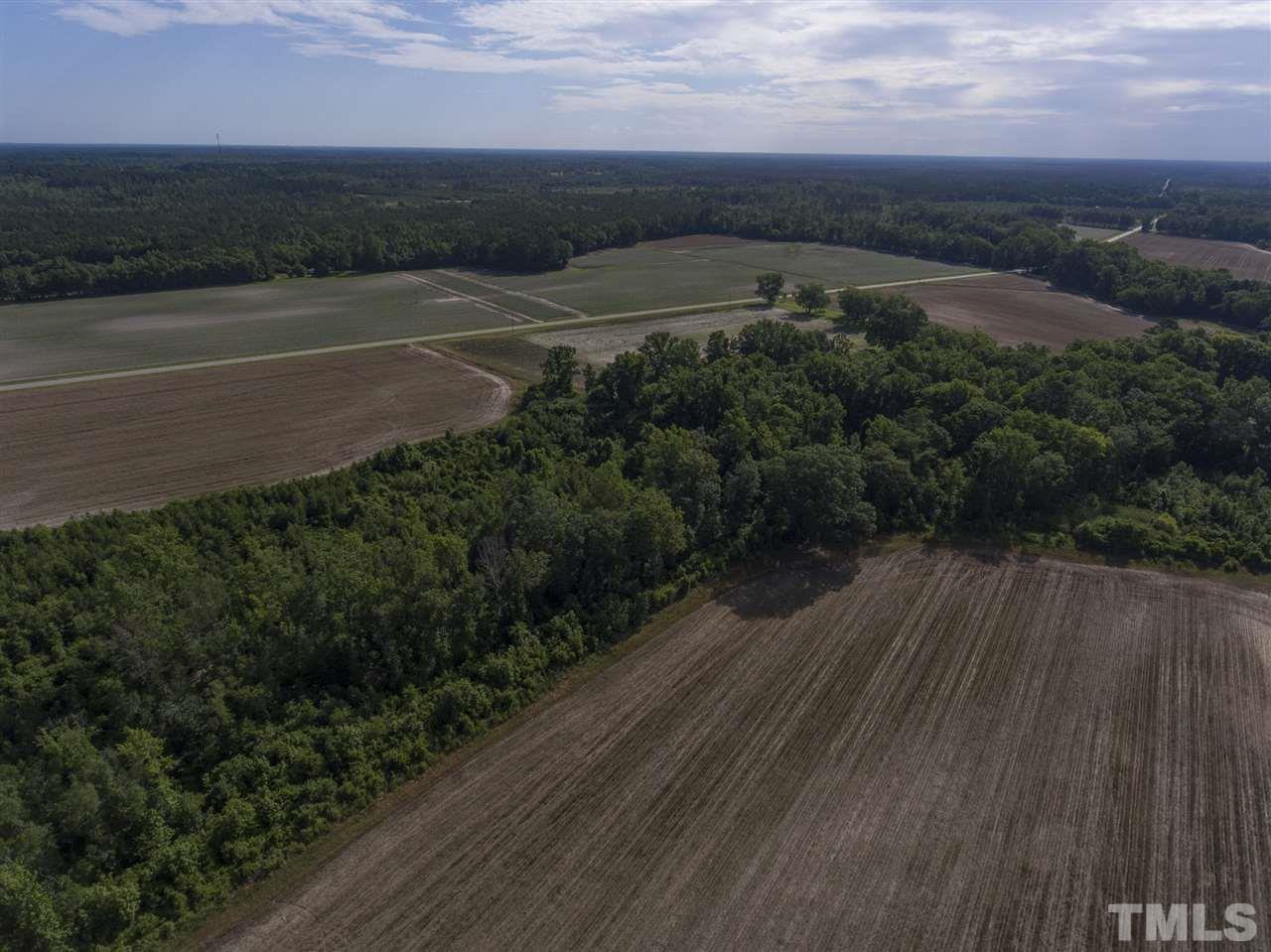 0 Josey Williams Road Erwin, NC 28339 - Photo 15 of 25