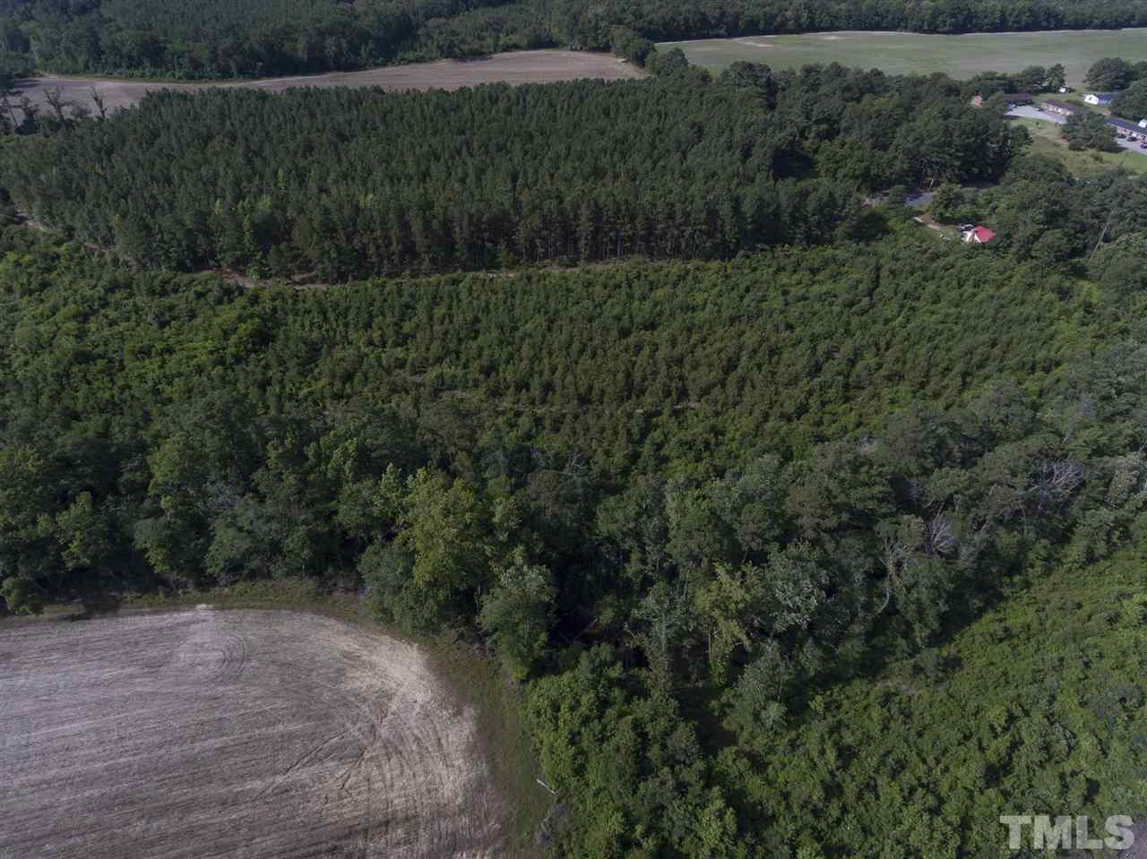 0 Josey Williams Road Erwin, NC 28339 - Photo 18 of 25