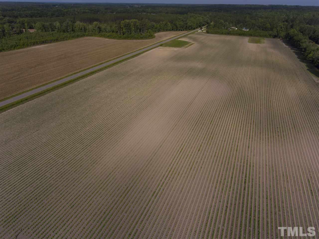 0 Josey Williams Road Erwin, NC 28339 - Photo 19 of 25