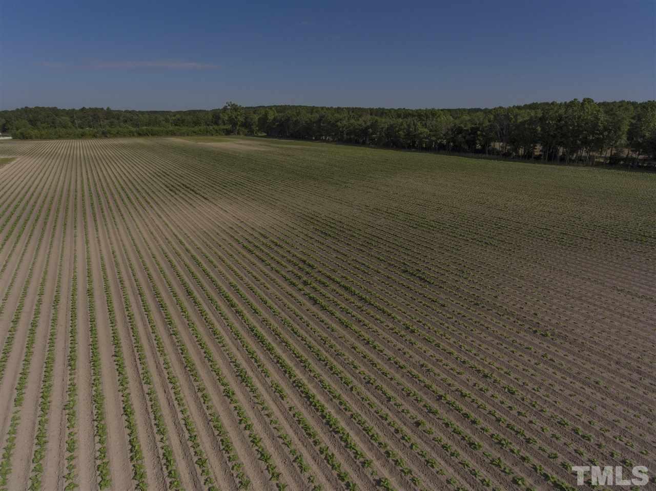 0 Josey Williams Road Erwin, NC 28339 - Photo 20 of 25