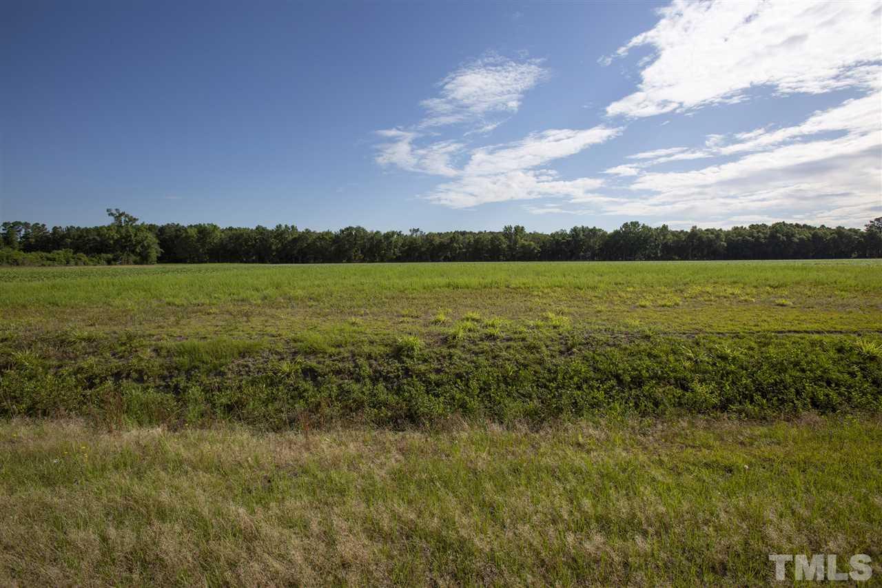 0 Josey Williams Road Erwin, NC 28339 - Photo 3 of 25