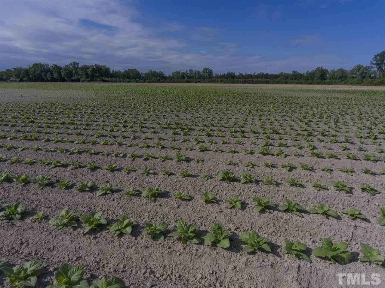 0 Josey Williams Road Erwin, NC 28339 - Photo 21 of 25