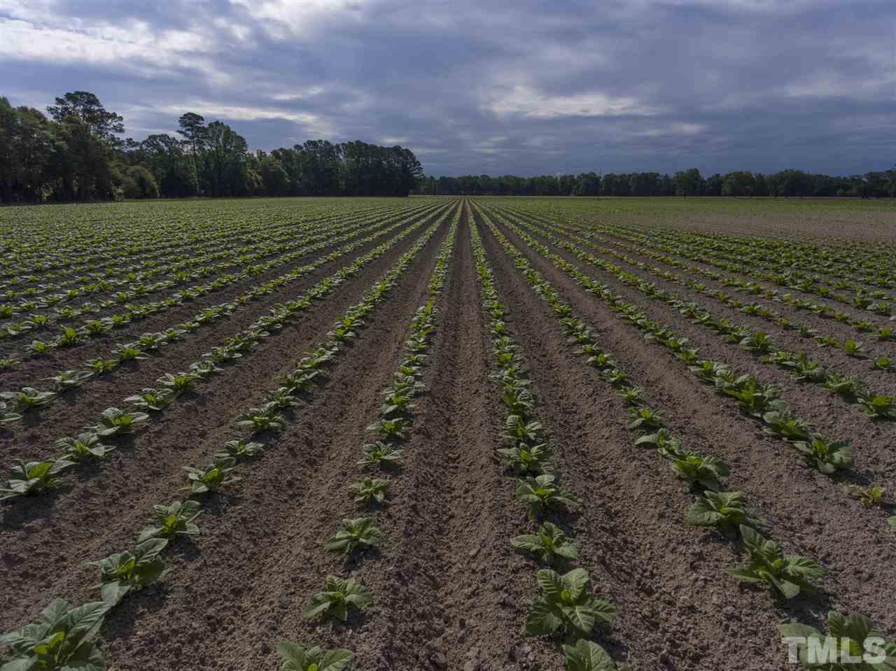 0 Josey Williams Road Erwin, NC 28339 - Photo 22 of 25