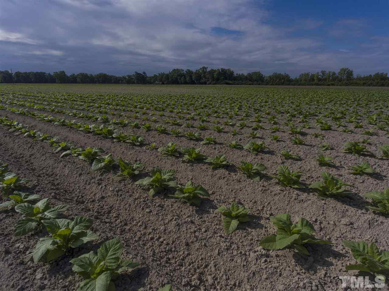 0 Josey Williams Road Erwin, NC 28339 - Photo 23 of 25