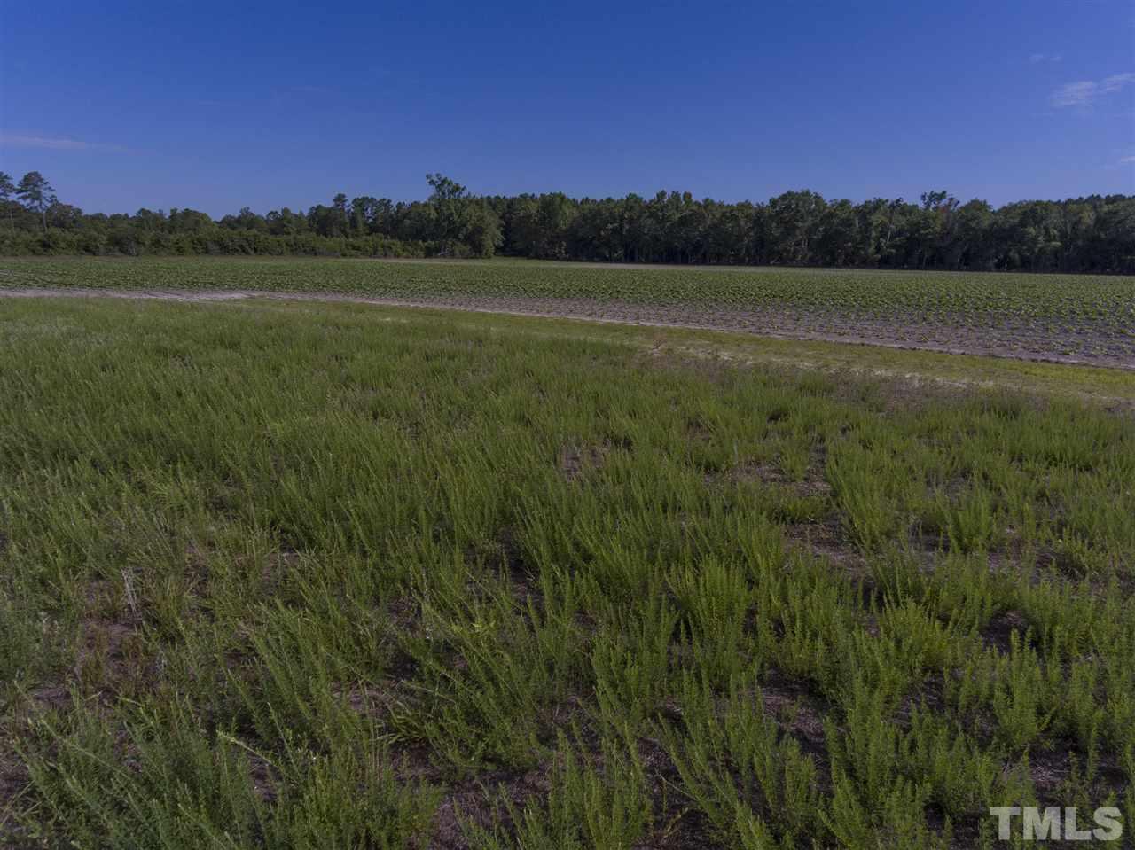 0 Josey Williams Road Erwin, NC 28339 - Photo 24 of 25