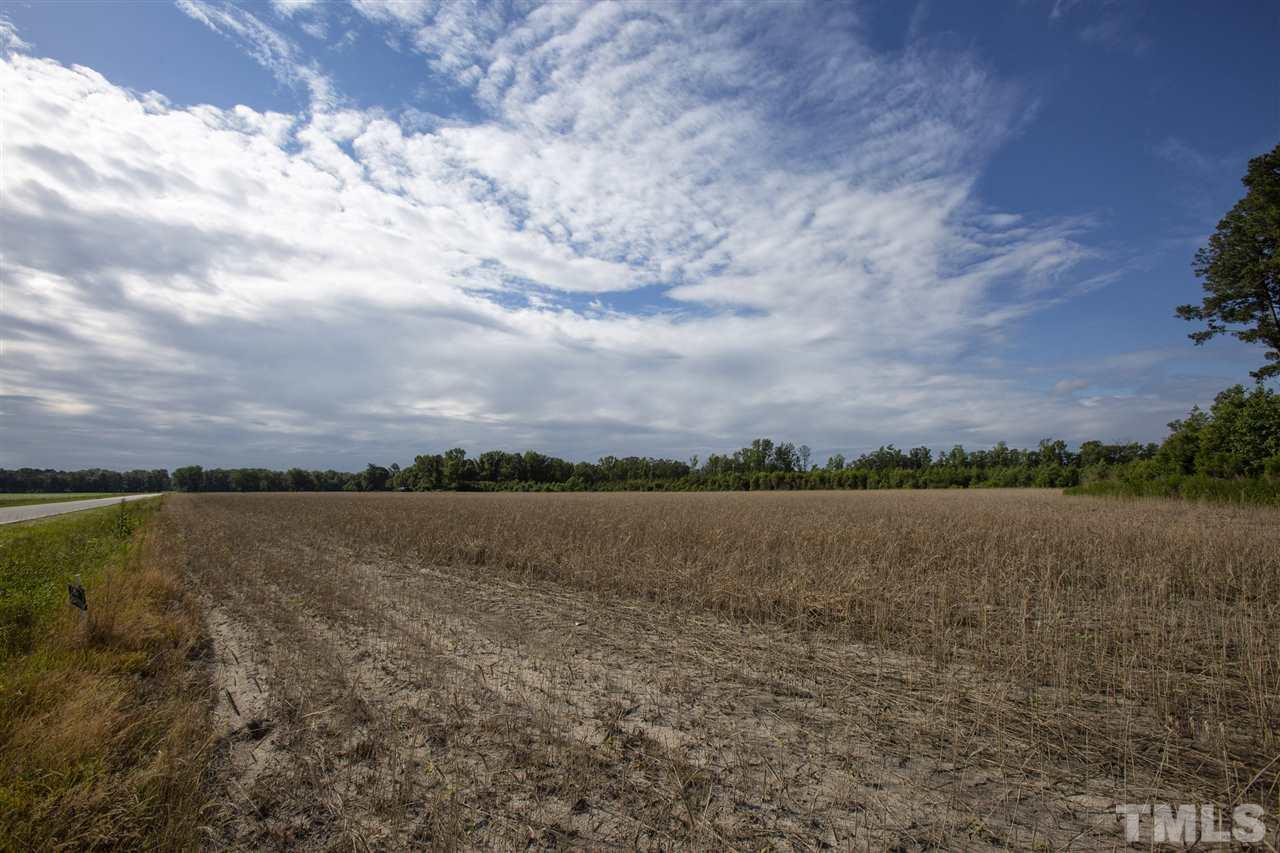 0 Josey Williams Road Erwin, NC 28339 - Photo 4 of 25