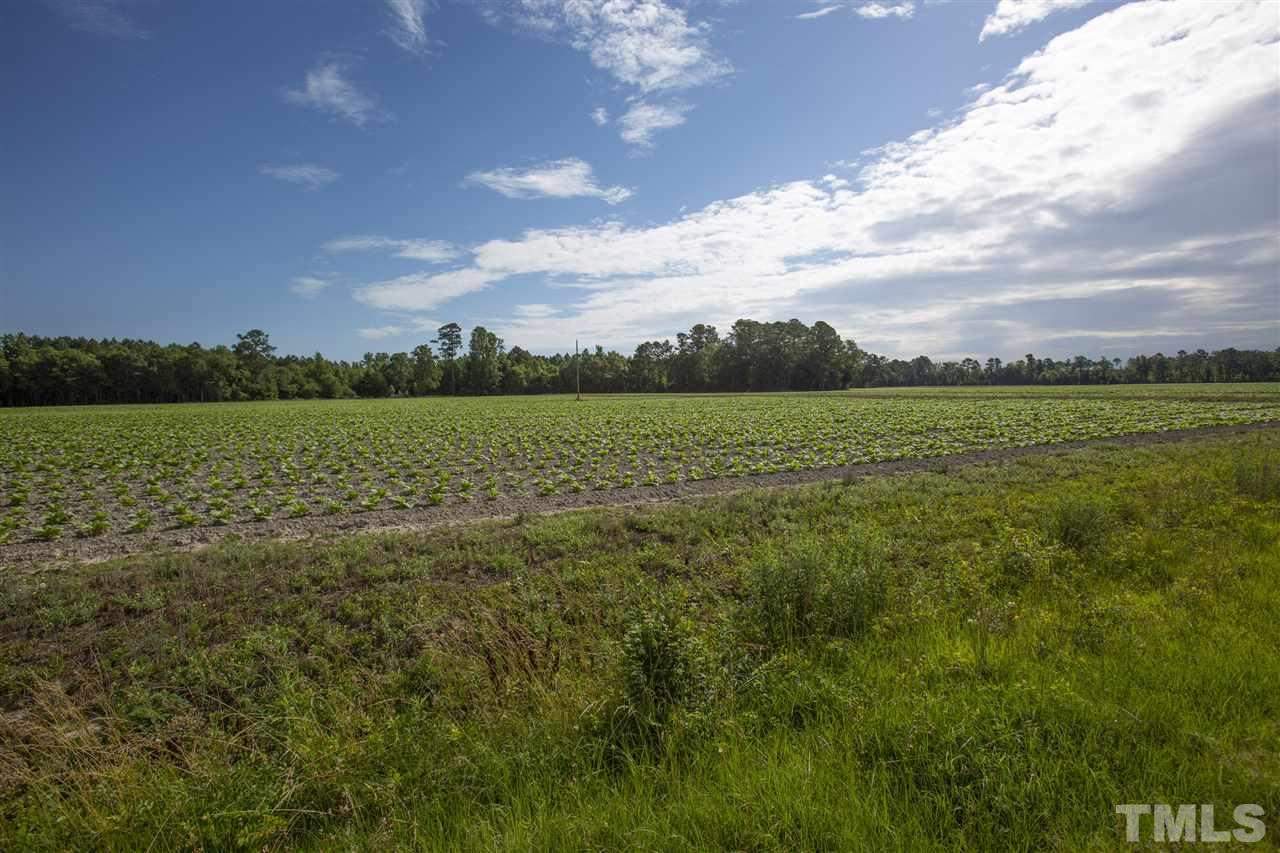 0 Josey Williams Road Erwin, NC 28339 - Photo 5 of 25