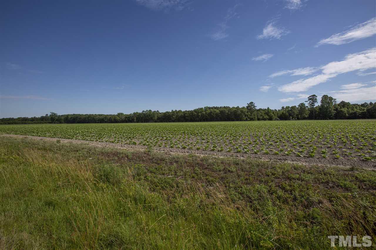 0 Josey Williams Road Erwin, NC 28339 - Photo 6 of 25