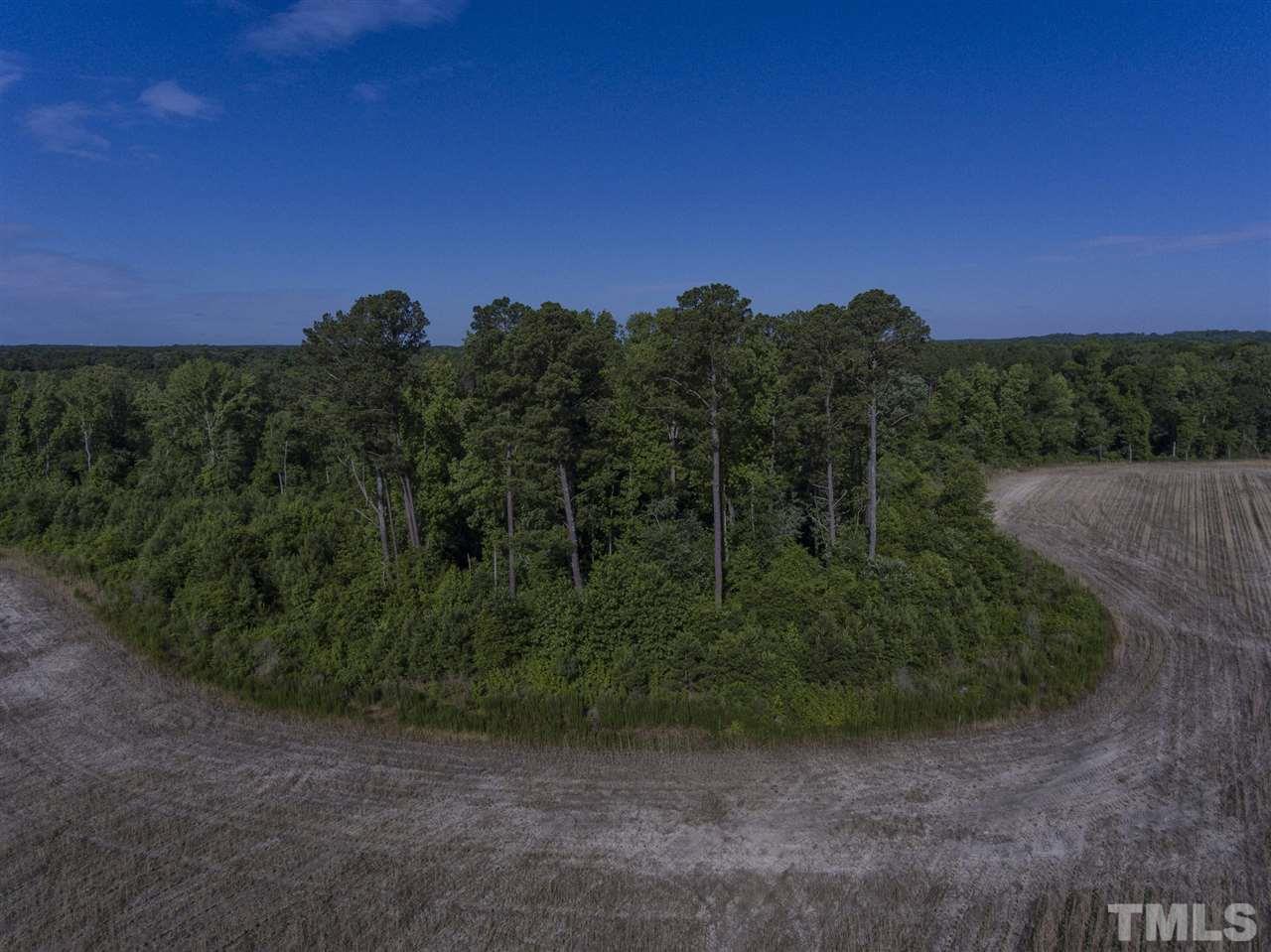 0 Josey Williams Road Erwin, NC 28339 - Photo 7 of 25