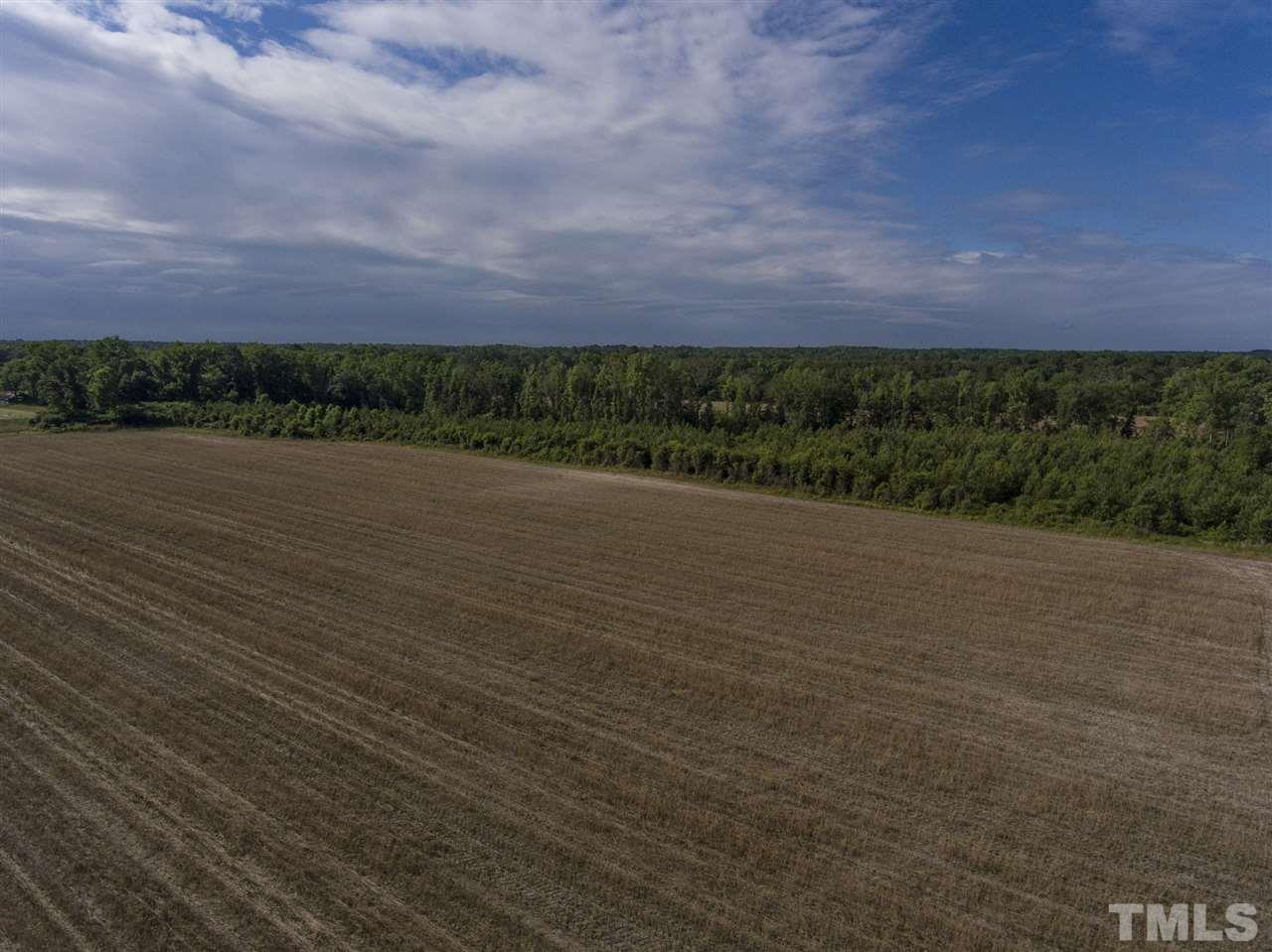 0 Josey Williams Road Erwin, NC 28339 - Photo 8 of 25