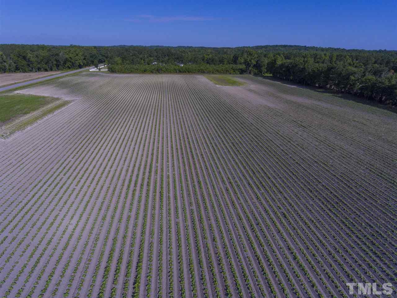 0 Josey Williams Road Erwin, NC 28339 - Photo 9 of 25