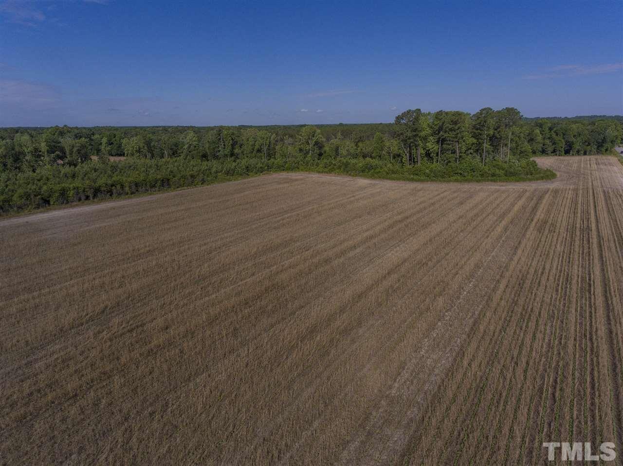 0 Josey Williams Road Erwin, NC 28339 - Photo 10 of 25