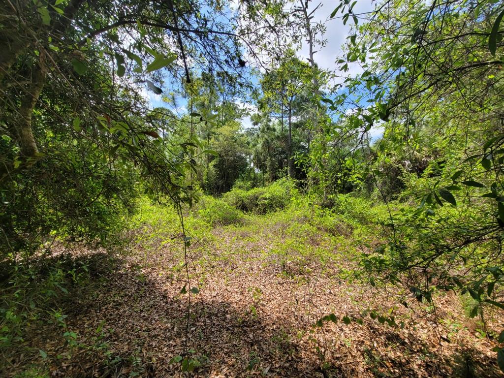 421 Avenida Del Sur Clewiston, FL 33440 - Photo 7 of 11