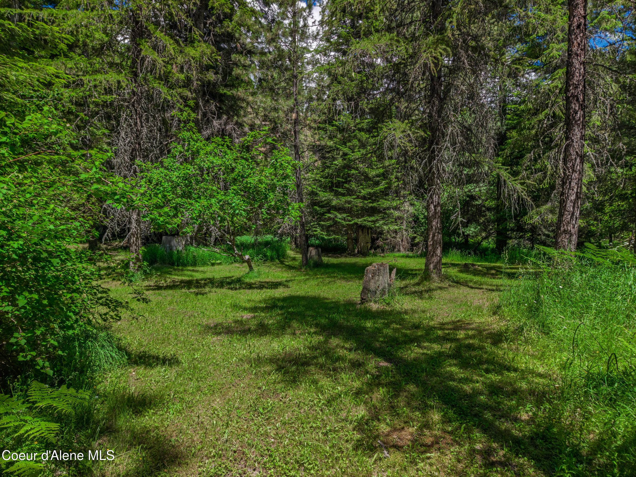 30839 St Joe River Road Calder, ID 83808 - Photo 20 of 33 Lawn