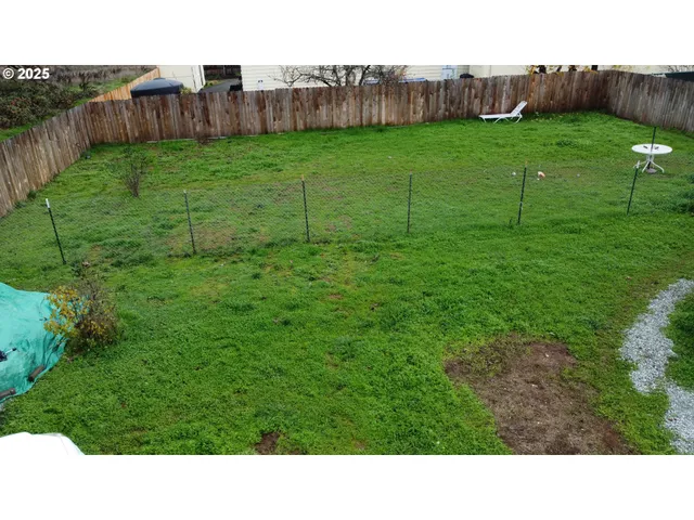 a black and white photo of a garden