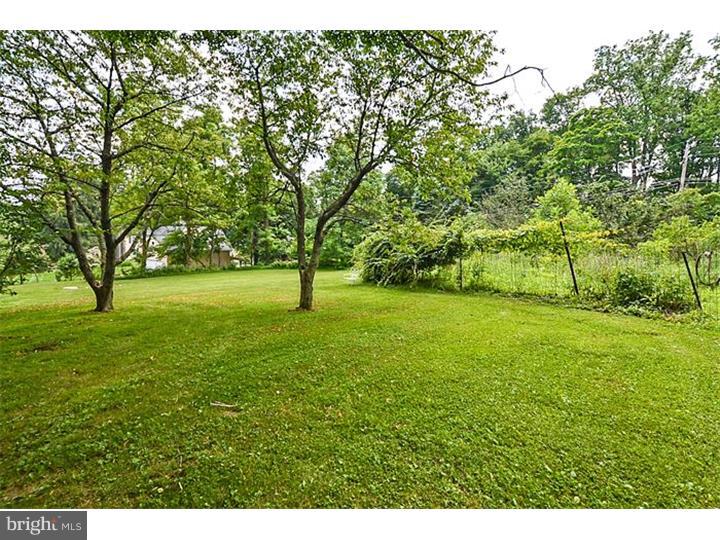 6209 Upper York Road New Hope, PA 18938 - Photo 19 of 25 Back Yard