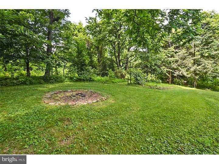 6209 Upper York Road New Hope, PA 18938 - Photo 20 of 25 Back Yard
