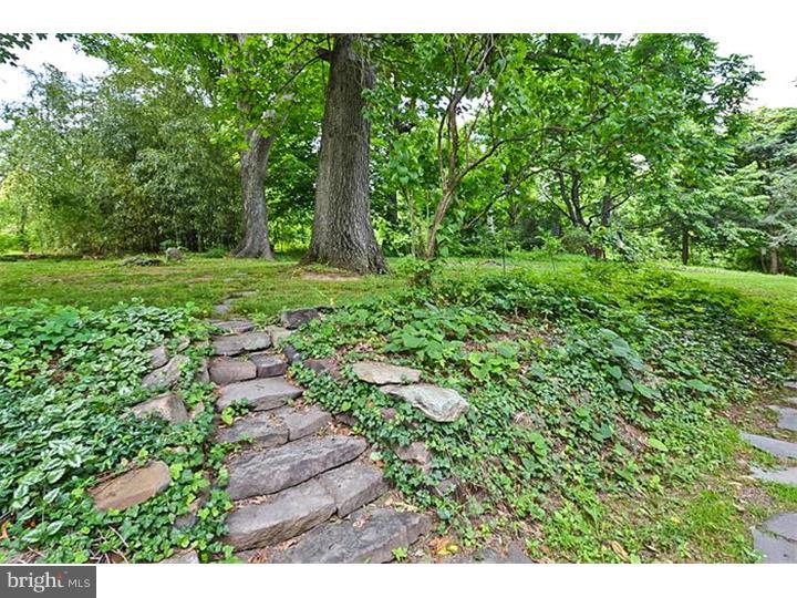 6209 Upper York Road New Hope, PA 18938 - Photo 21 of 25 Back Yard