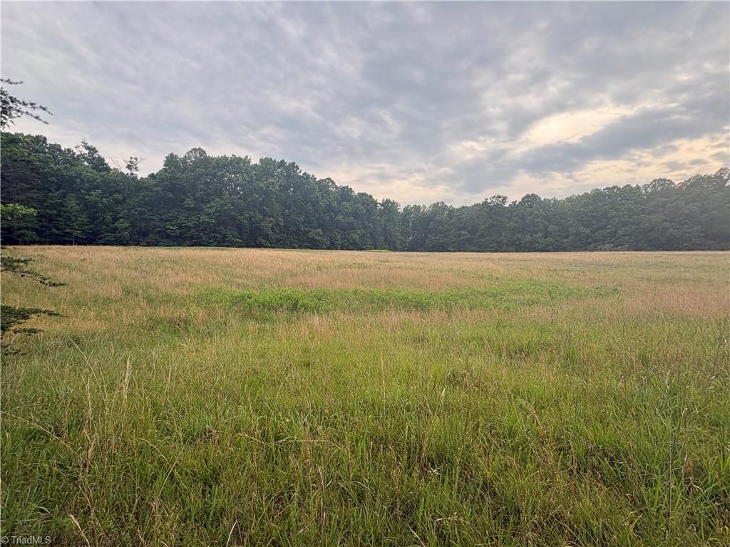 690 Goose Pond Road Ruffin, NC 27326 - Photo 11 of 17