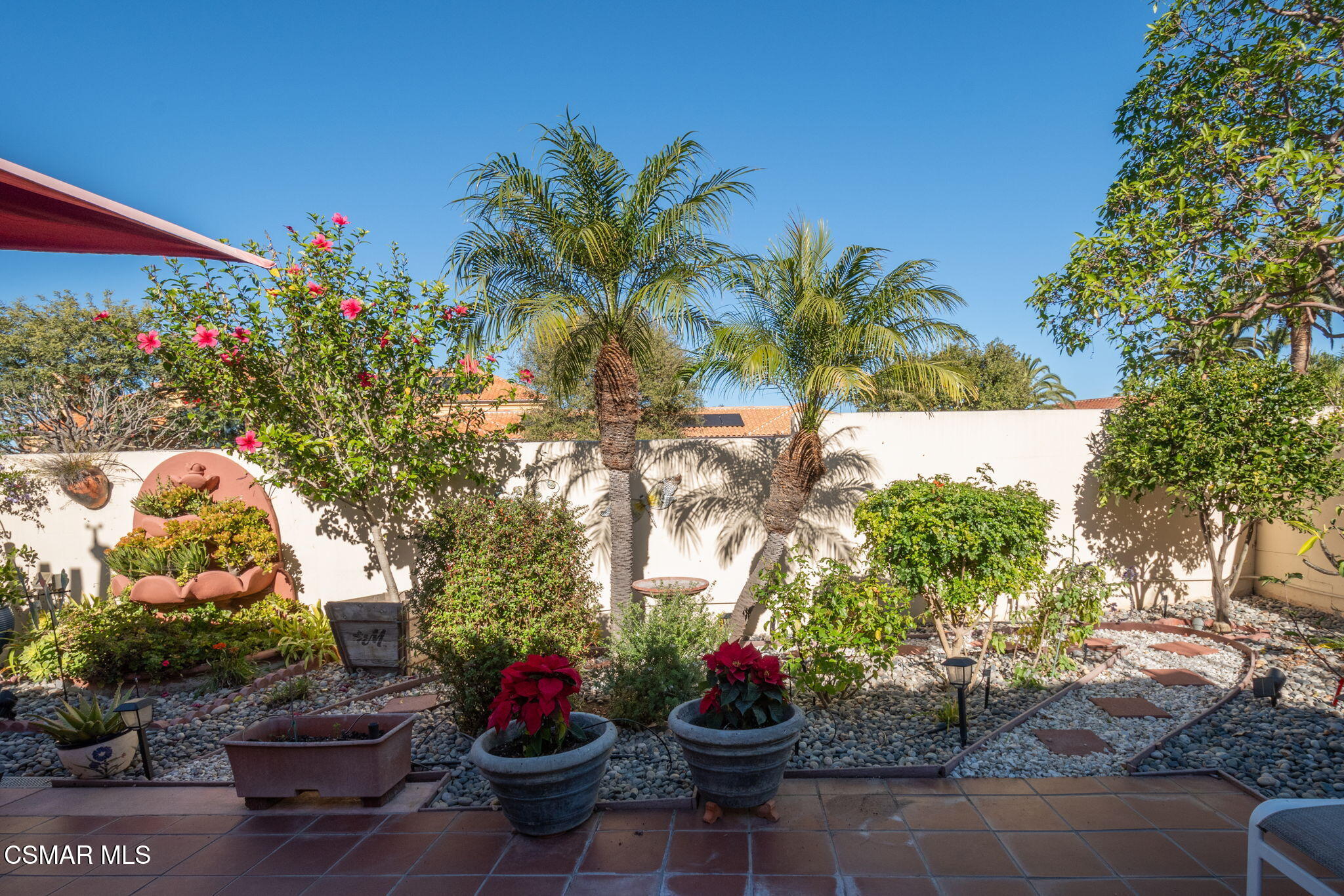 1126 Corte Riviera Camarillo, CA 93010 - Photo 29 of 36 a view of a potted flower in a yard