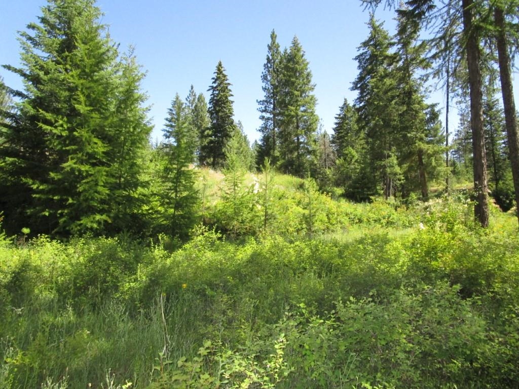2693 Burnt Valley Road Chewelah, WA 99109 - Photo 21 of 23 Gallery Image 21