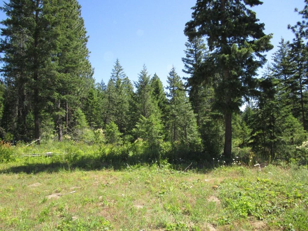 2693 Burnt Valley Road Chewelah, WA 99109 - Photo 22 of 23 Gallery Image 22