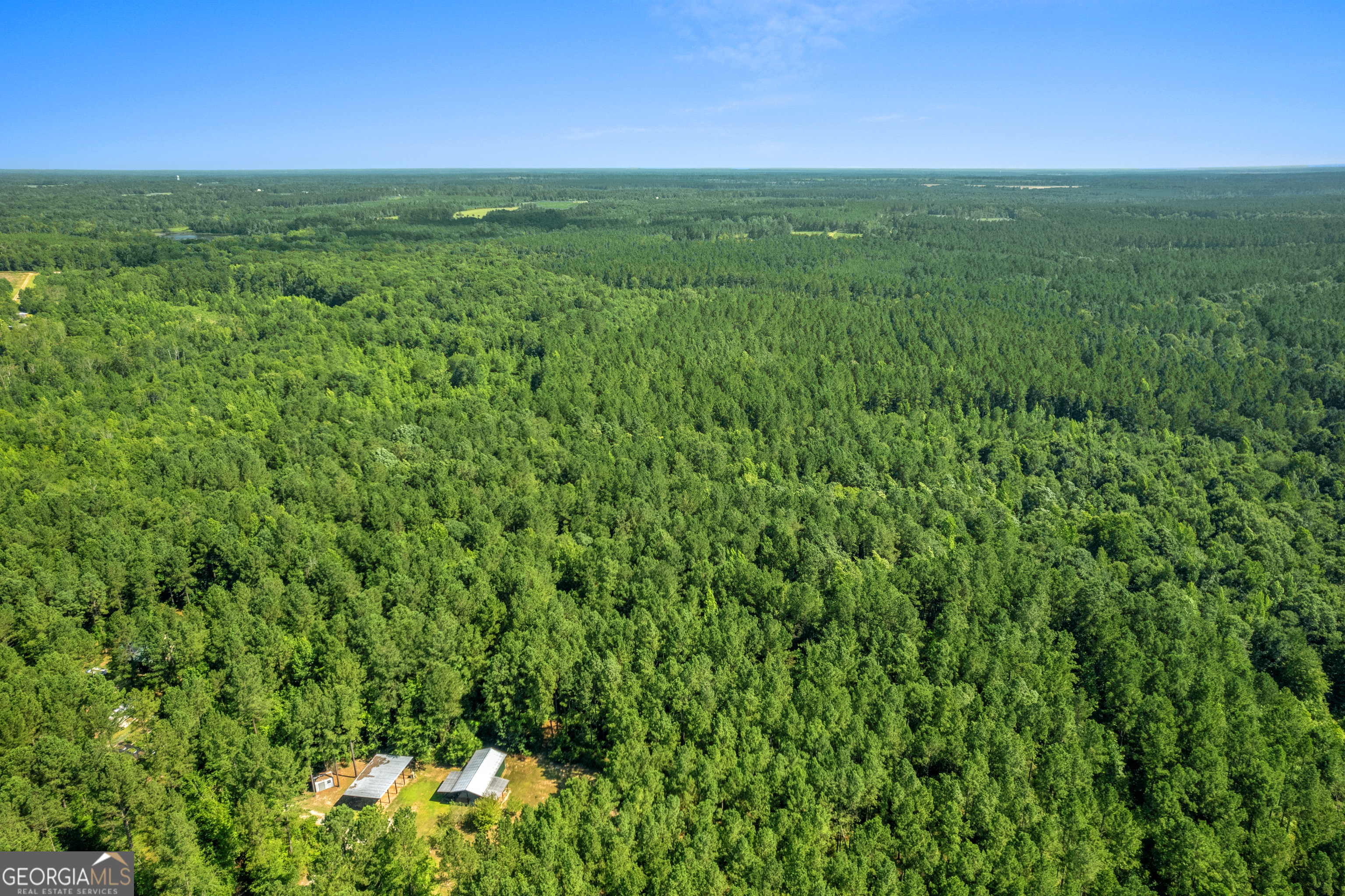 1269 Tarver Road Davisboro, GA 31018 - Photo 13 of 64