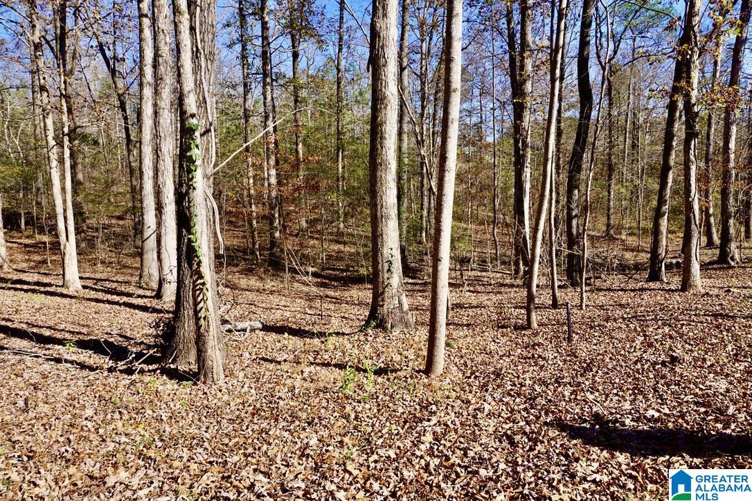 20 County Road 231 Cullman, AL 35057 - Photo 46 of 52