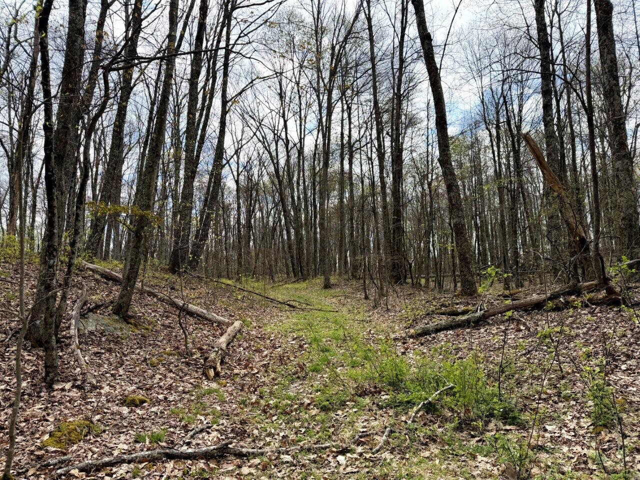 0 Iona Road White Oak, WV 25989 - Photo 45 of 150 Tract-13-IMG_3658