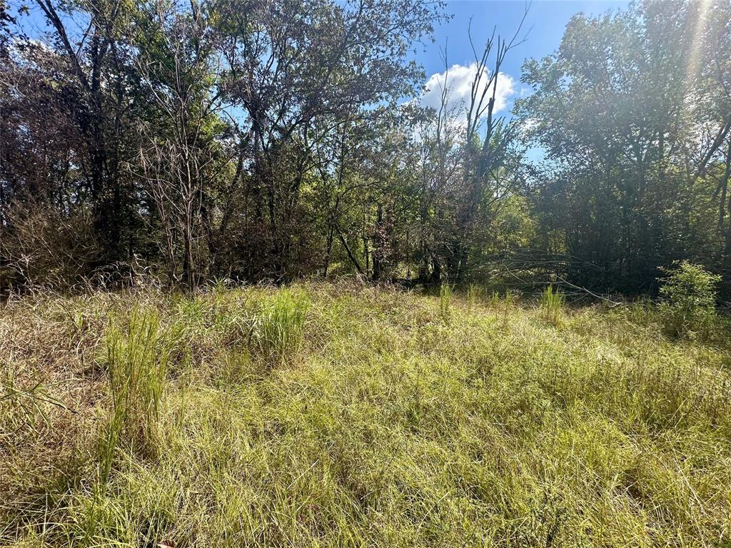 4020 Fm 275 Emory, TX 75440 - Photo 3 of 7 a backyard of a house with lots of green space and trees
