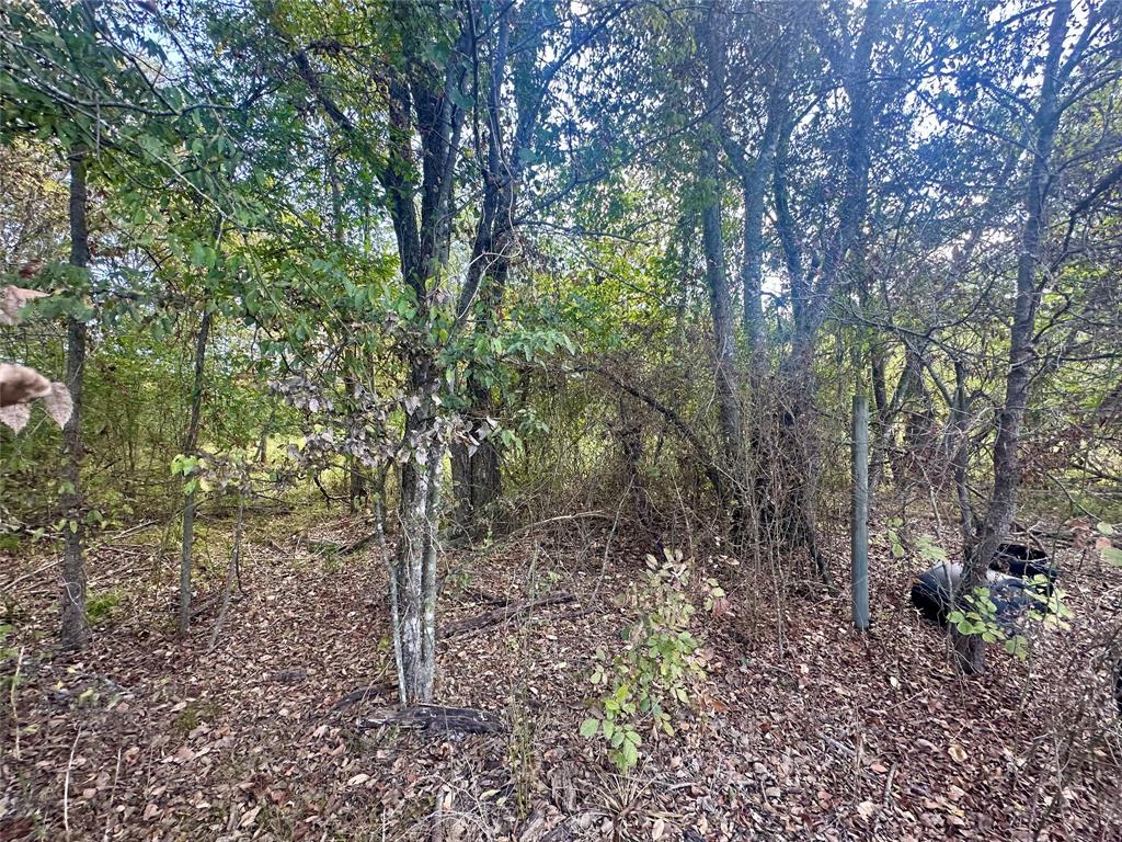 4020 Fm 275 Emory, TX 75440 - Photo 4 of 7 a view of a forest with trees
