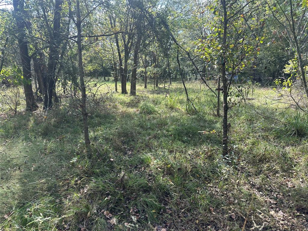 4020 Fm 275 Emory, TX 75440 - Photo 7 of 7 a view of trees in a yard