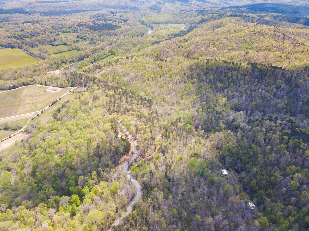 0 Chapel Farm Road Clifton, TN 38425 - Photo 4 of 67 Gallery Image 4