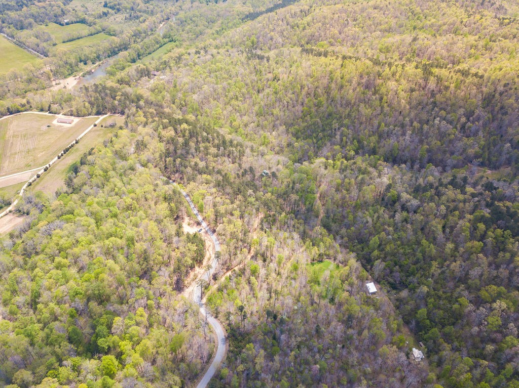 0 Chapel Farm Road Clifton, TN 38425 - Photo 5 of 67 Gallery Image 5