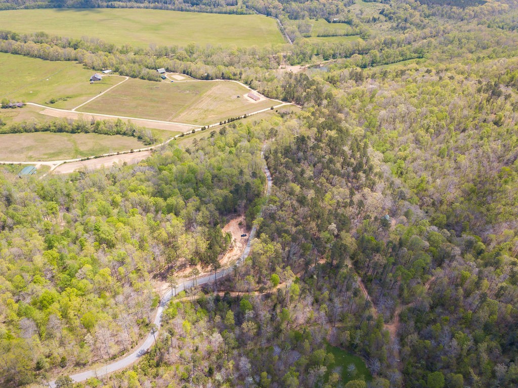 0 Chapel Farm Road Clifton, TN 38425 - Photo 6 of 67 Gallery Image 6