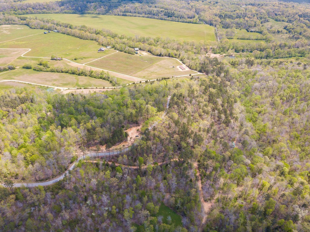 0 Chapel Farm Road Clifton, TN 38425 - Photo 7 of 67 Gallery Image 7