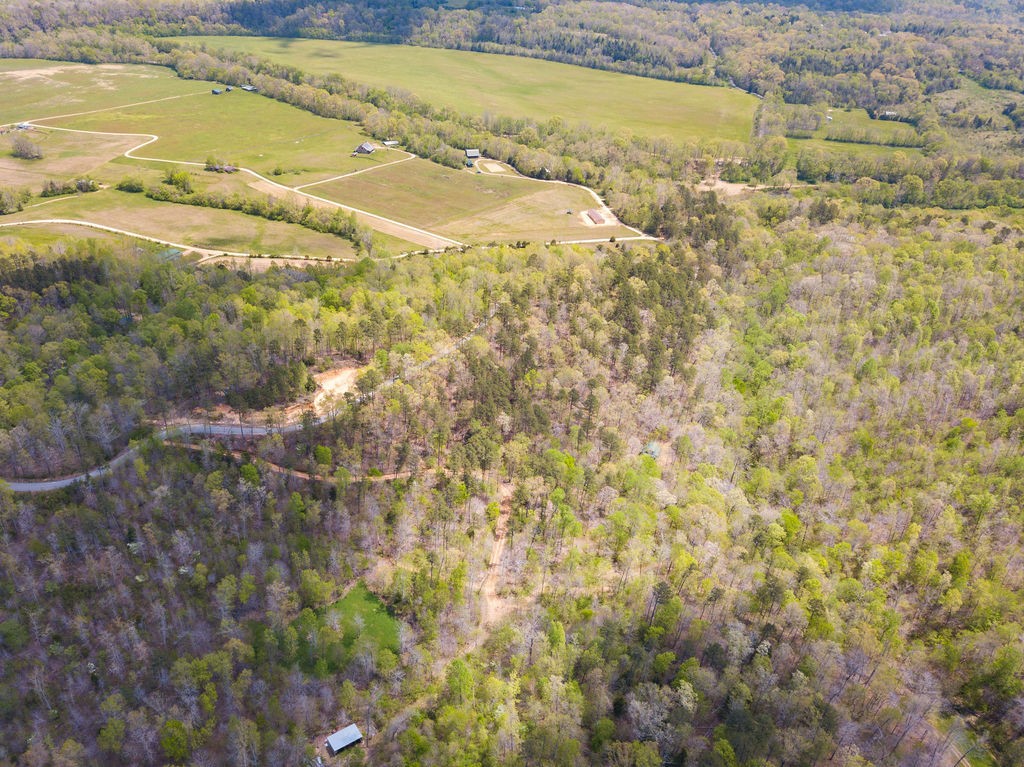 0 Chapel Farm Road Clifton, TN 38425 - Photo 8 of 67 Gallery Image 8