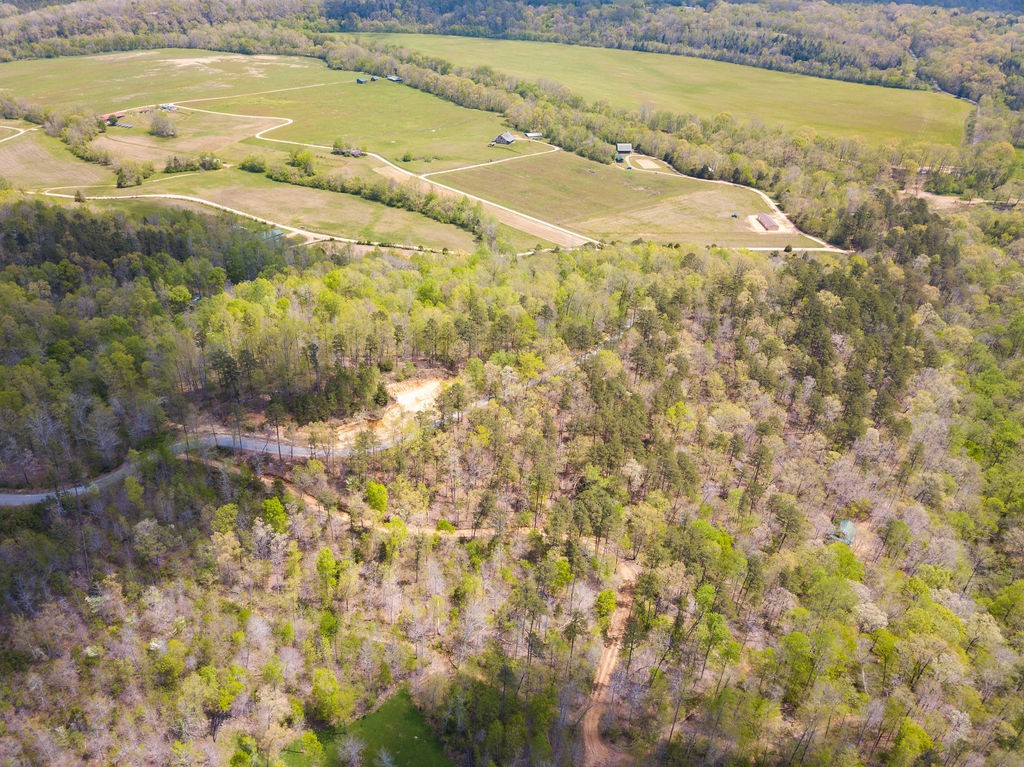 0 Chapel Farm Road Clifton, TN 38425 - Photo 9 of 67 Gallery Image 9